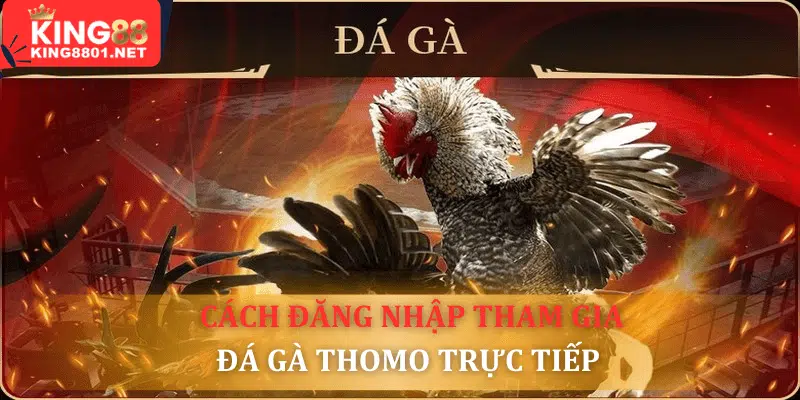 Đăng nhập chơi đá gà trực tiếp Thomo