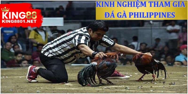 Kinh nghiệm tham đá gà Philippines kê thủ cần biết 
