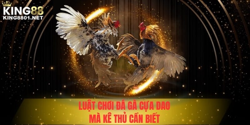 Luật chơi đá gà cựa dao kê thủ cần biết 