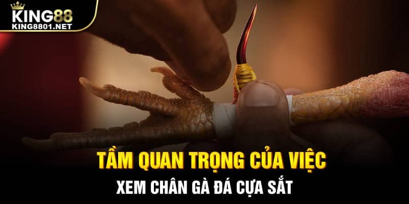 Tầm quan trọng của việc xem chân gà đá cựa sắt