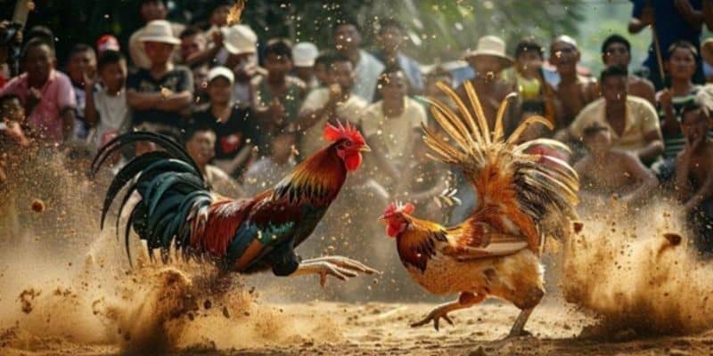 Các quy định thắng thua đã được cung cấp đầy đủ cho người tham gia